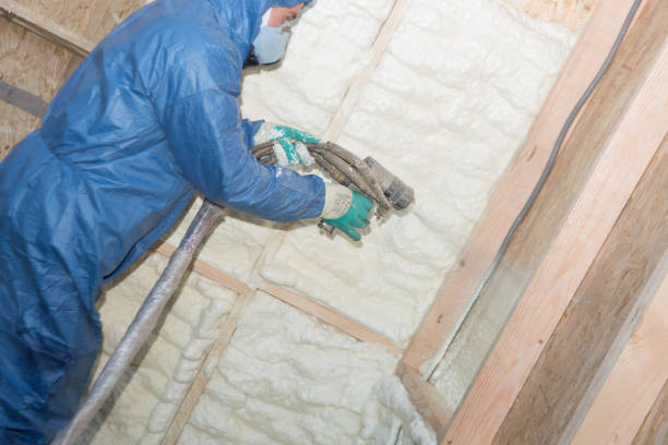 Best Fireproof Insulation  in Ardia, CA